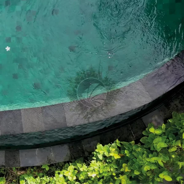 pierre pour piscine naturelle