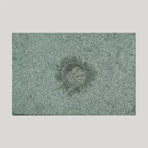 Pierre verte des Pyrénées