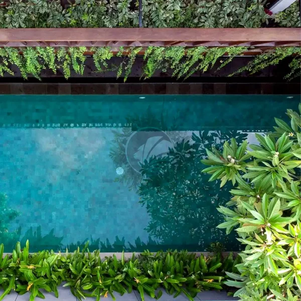 pierre piscine naturelle